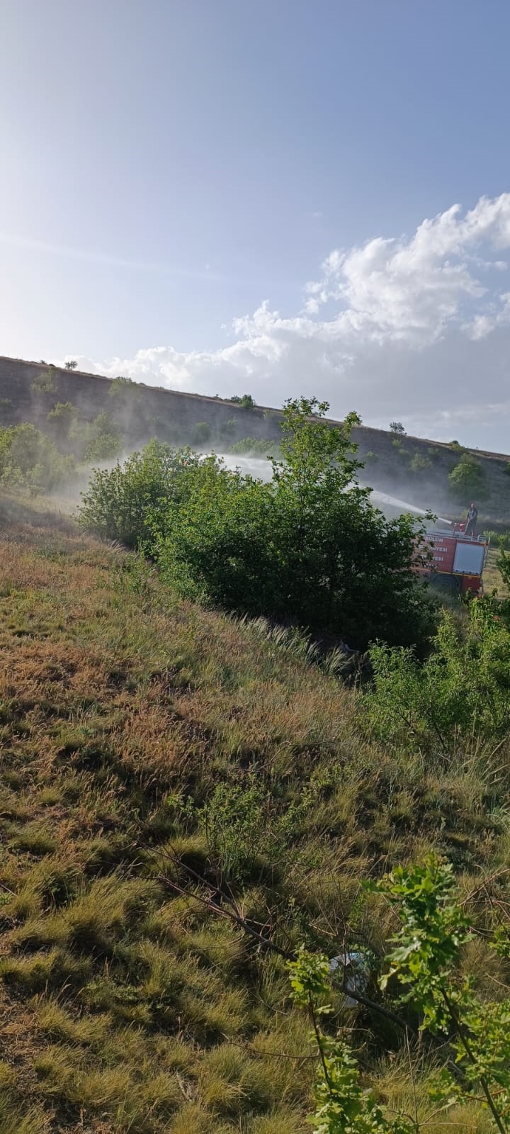 BAYRAKTEPE SIRTLARINDA YANGIN
