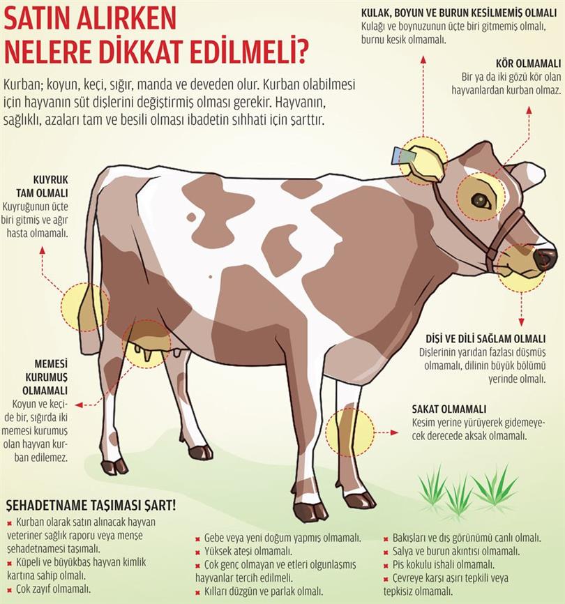 Afyonkarahisar Halkı Bayram Hazırlıklarına Başladı: Kurban Bayramı Yaklaşırken Sağlık İçin Nelere Dikkat Edilmeli?