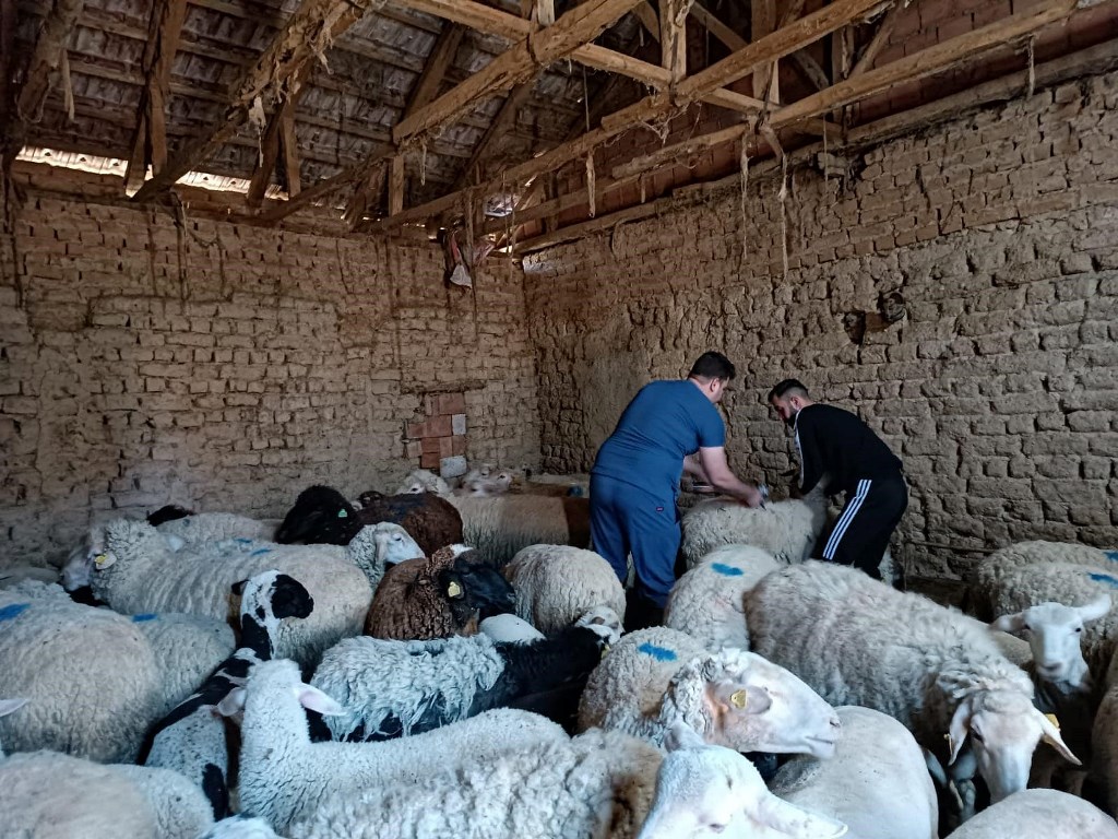TEK TIRNAKLI HAYVAN KİMLİK TESPİTİ YAPILDI