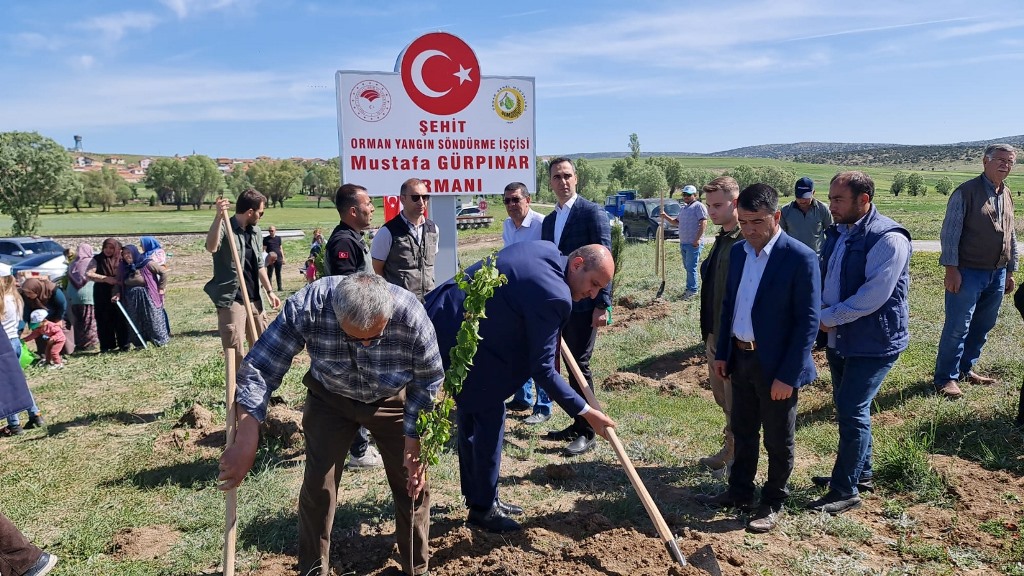 ŞEHİT GÜRPINAR İÇİN HATIRA ORMANI OLUŞTURULDU