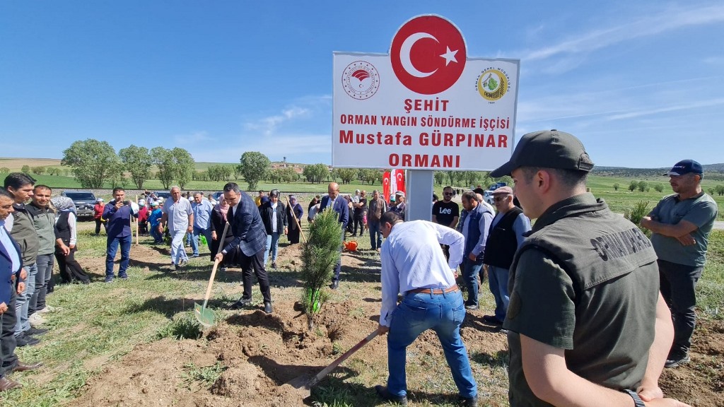 ŞEHİT GÜRPINAR İÇİN HATIRA ORMANI OLUŞTURULDU