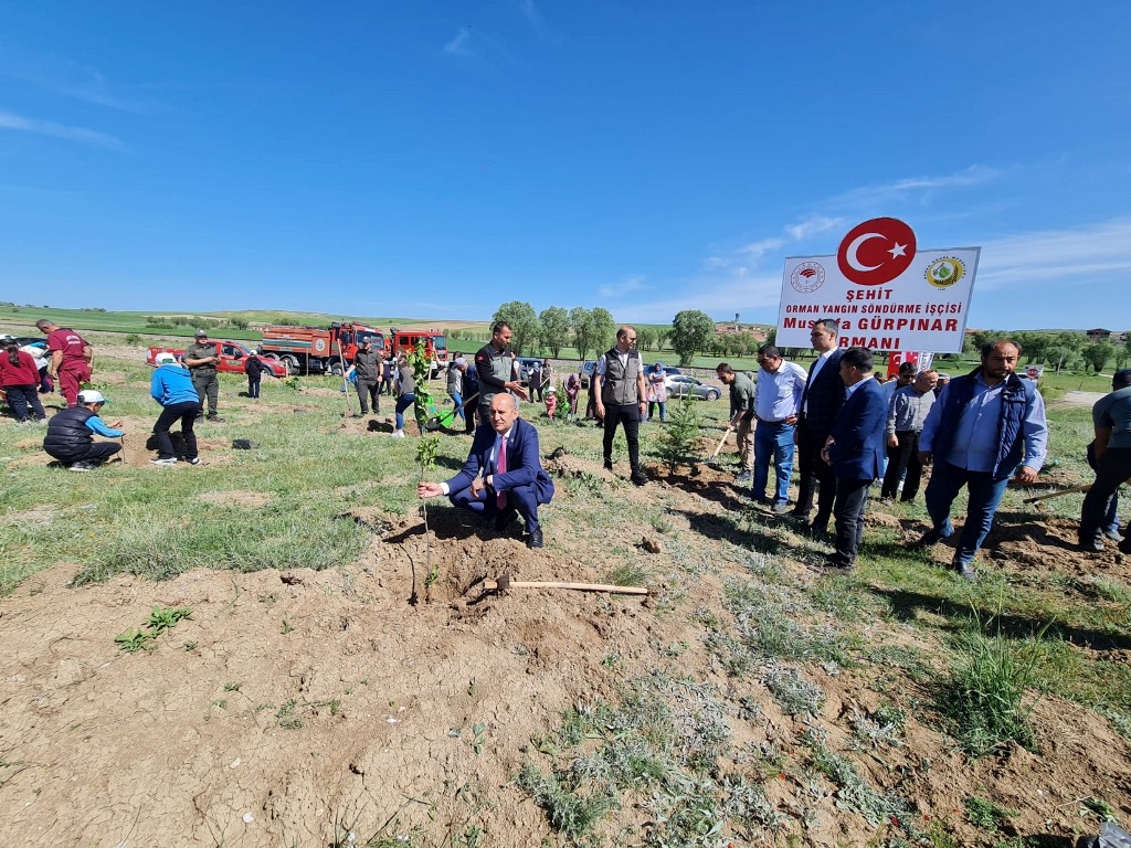 ŞEHİT GÜRPINAR İÇİN HATIRA ORMANI OLUŞTURULDU