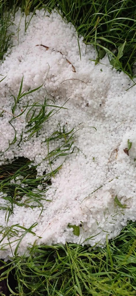 AFYON'DA HAVA ŞARTLARI HAYATI OLUMSUZ ETKİLEDİ