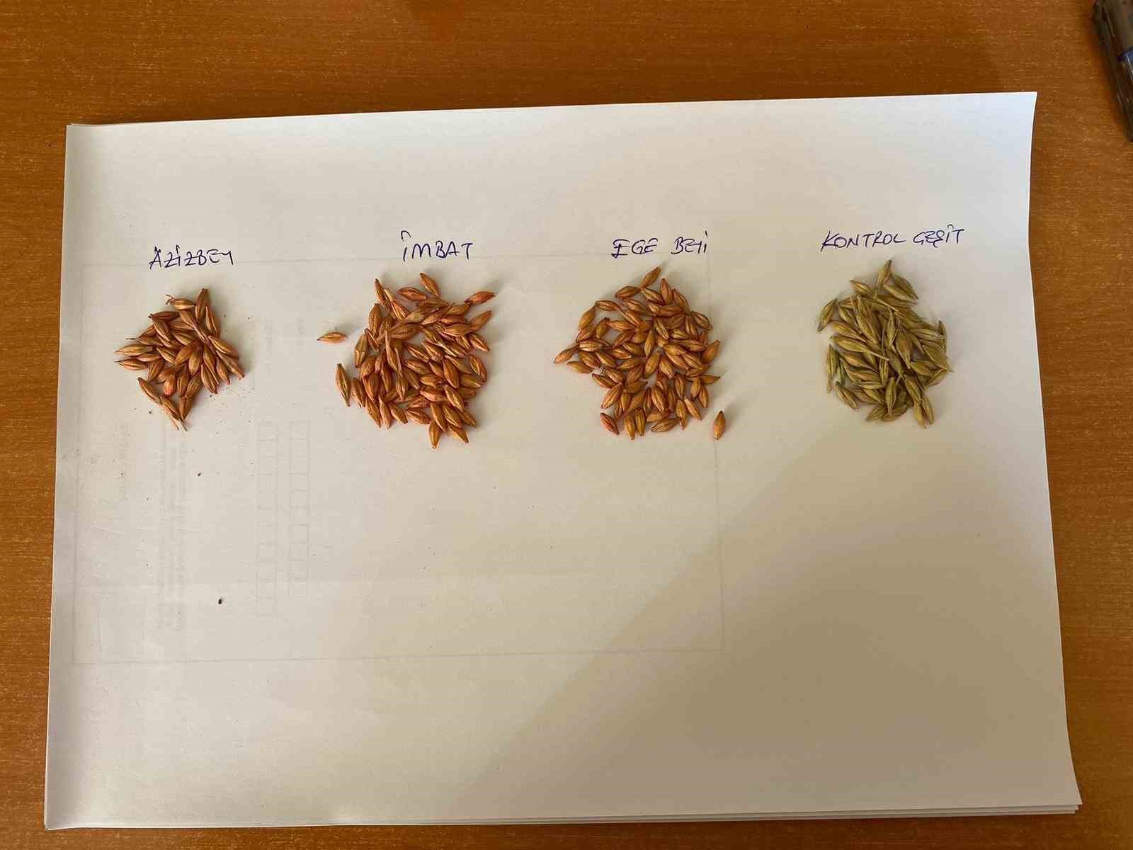 YENİ TOHUMLARLA YÜKSEK VERİM