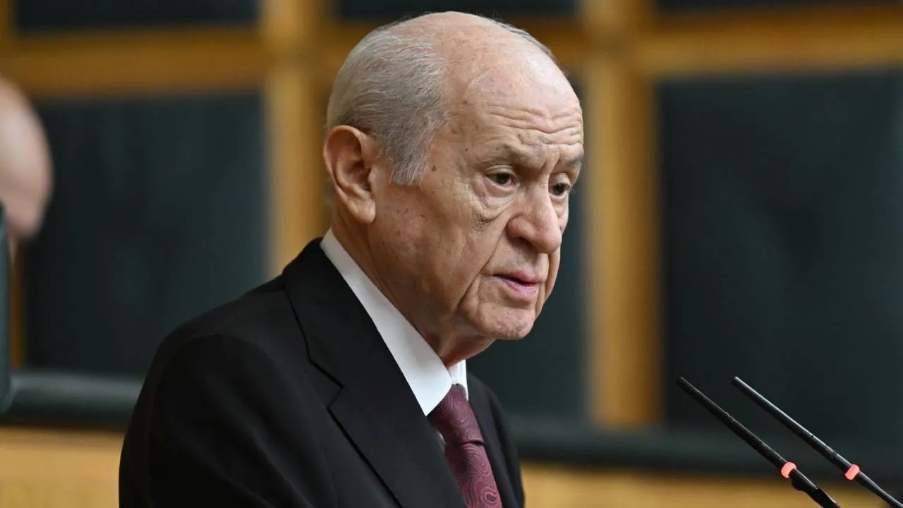 Bahçeli'den sokak hayvanları açıklaması: Öğlen sıcağında uyurlar!