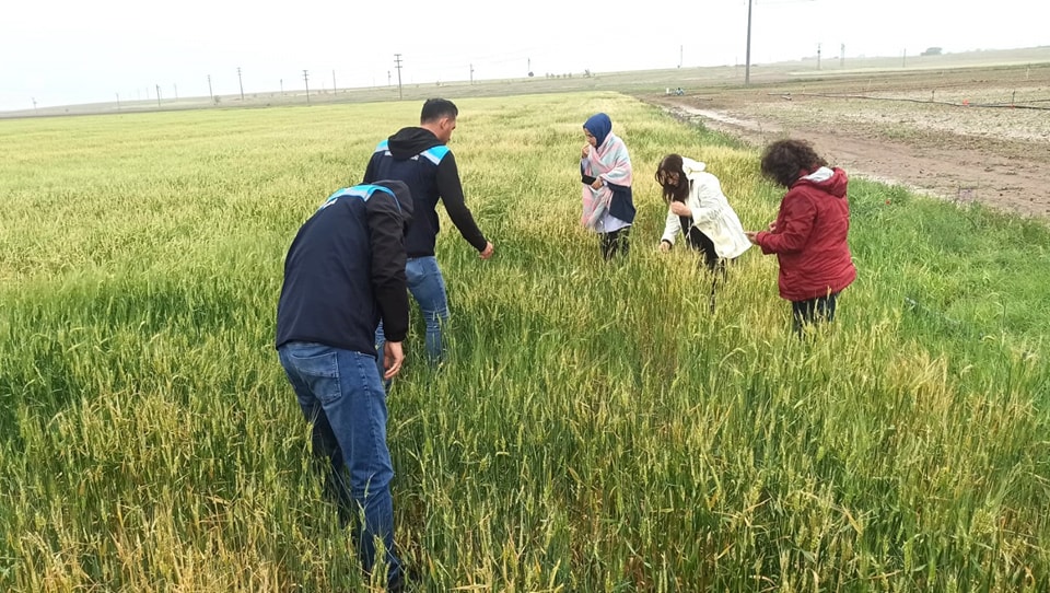 Afyonkarahisar'da Tarım Arazileri Doludan Etkilendi!