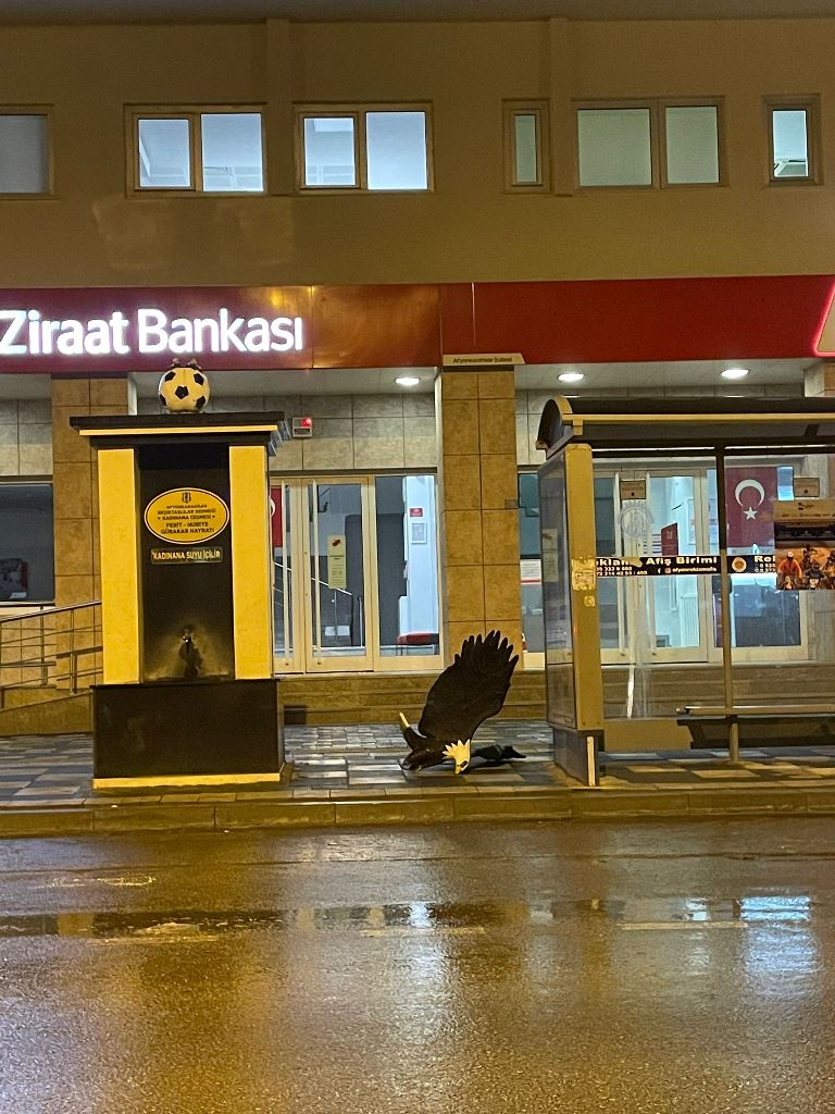 "KARA KARTAL BİR CAMİANIN SİMGESİDİR"