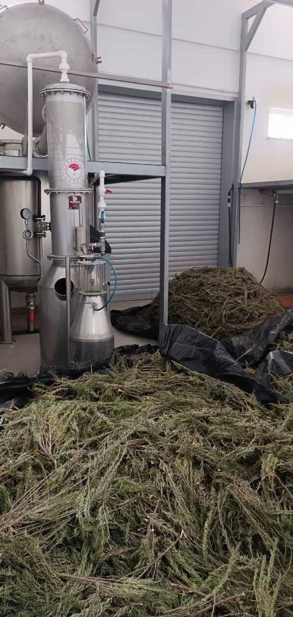 AFSÜ Eczacılık Öğrencilerinden Tıbbi Ve Aromatik Bitkiler Merkezine Teknik Gezi