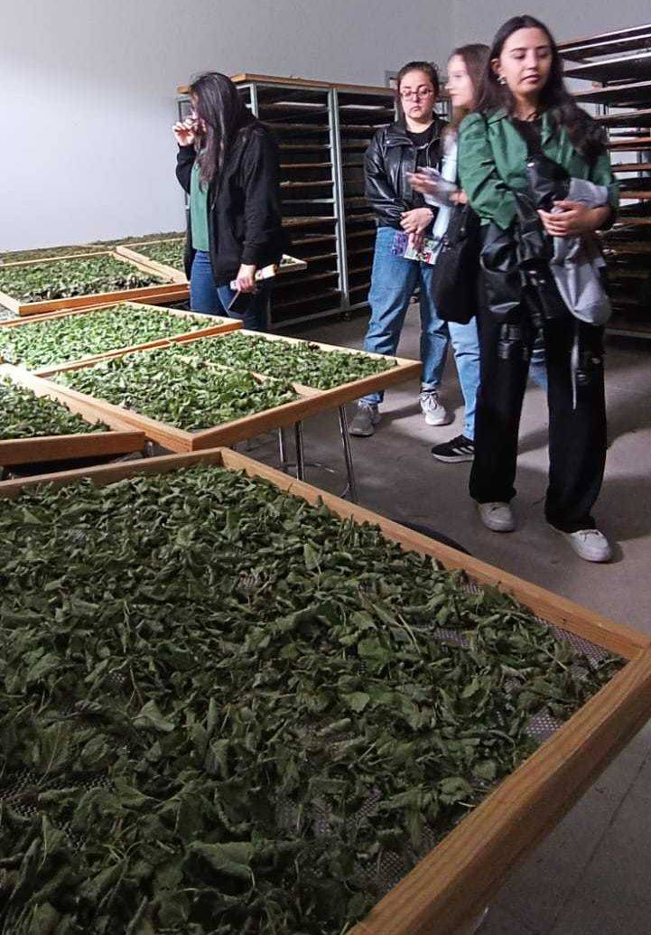 AFSÜ Eczacılık Öğrencilerinden Tıbbi Ve Aromatik Bitkiler Merkezine Teknik Gezi