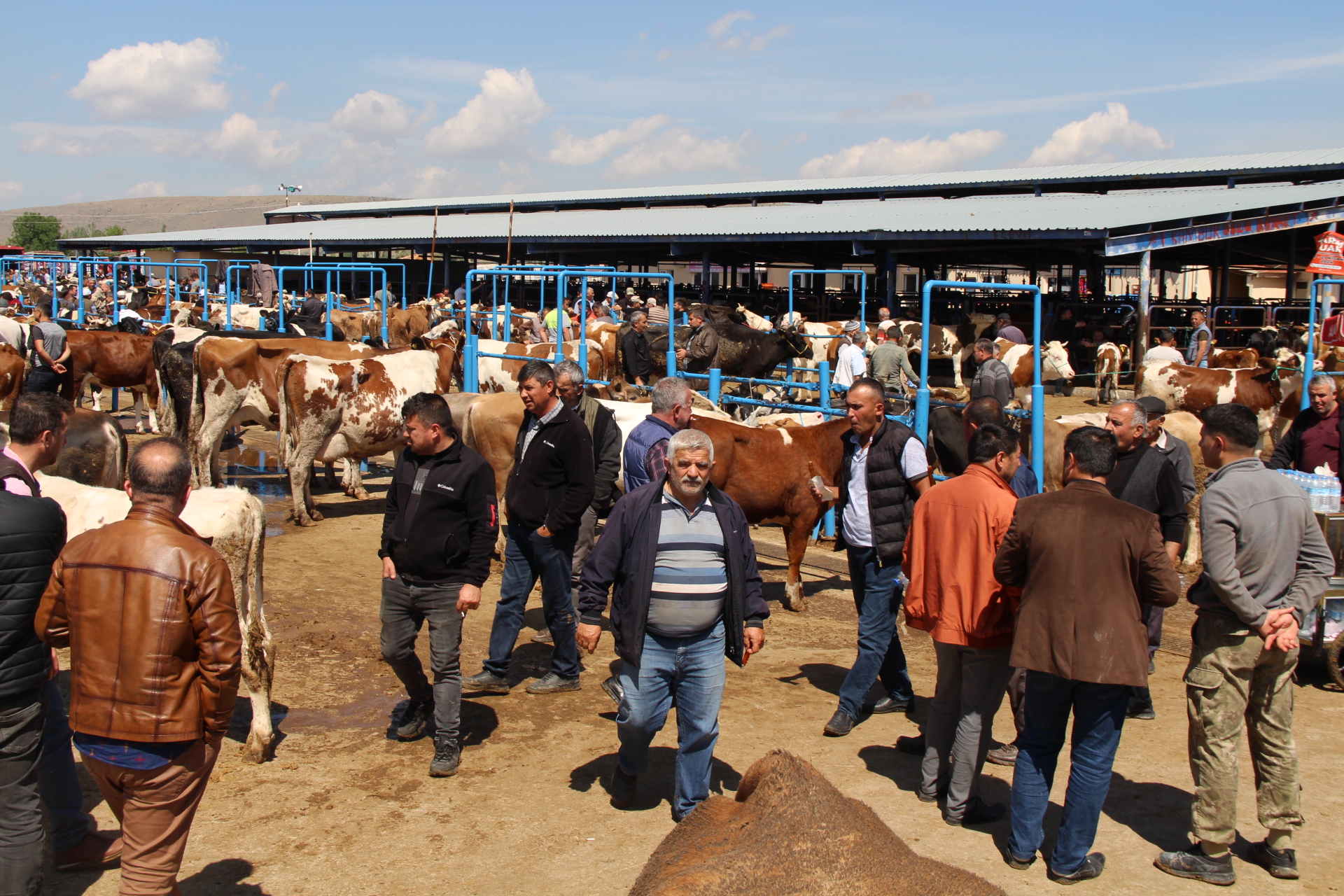 PAZARDA KURBANLIK ÇOK ALICI YOK