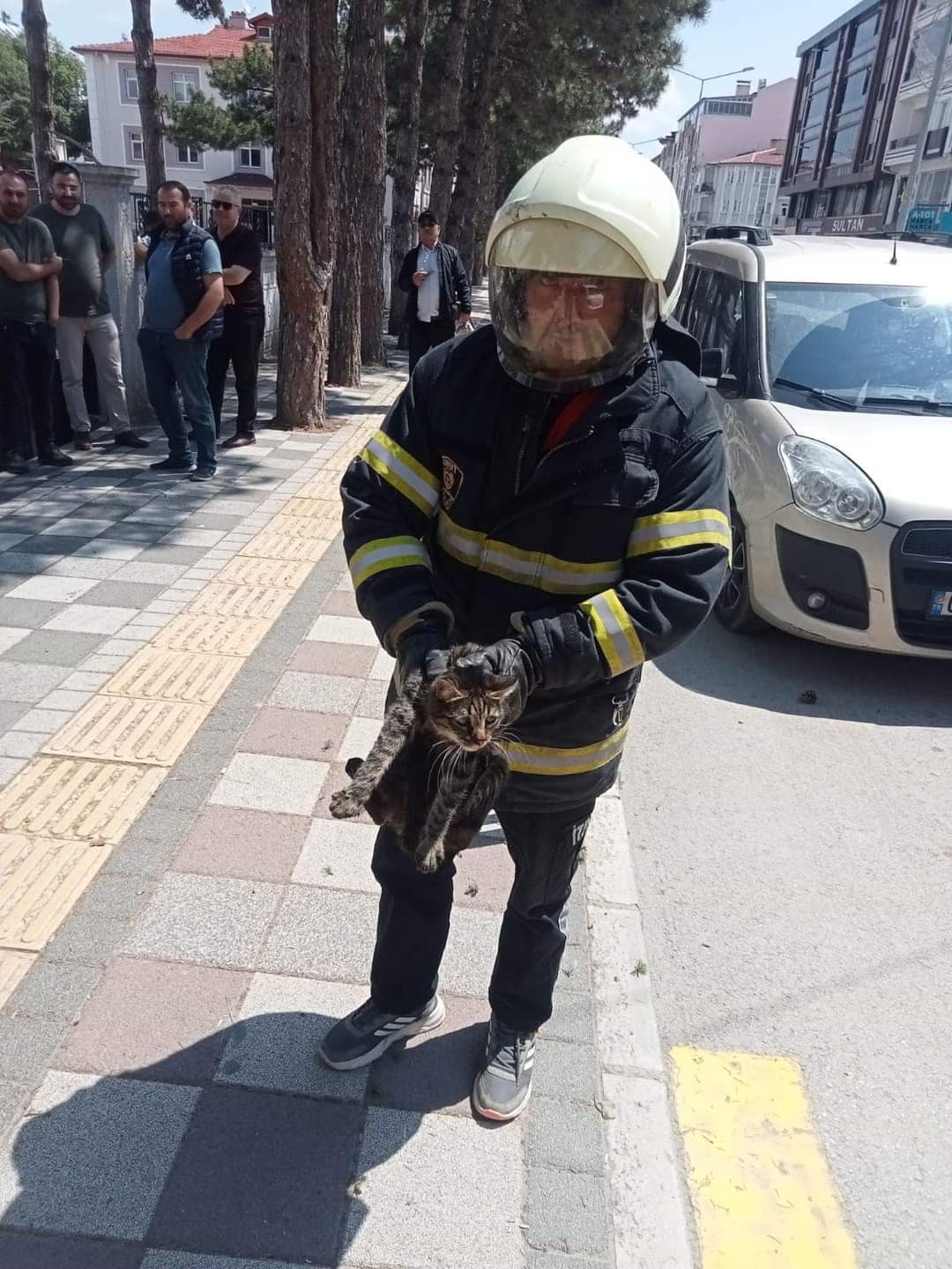 Ekiplerden Kurtarma Operasyonu: Tırmandığı ağaçta mahsur kalan kediyi itfaiye kurtardı