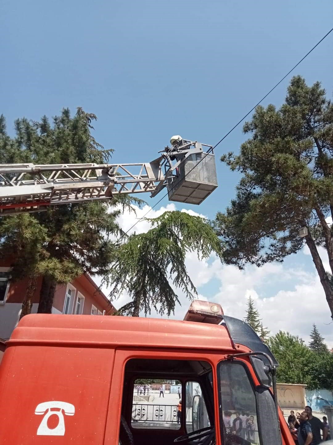 Ekiplerden Kurtarma Operasyonu: Tırmandığı ağaçta mahsur kalan kediyi itfaiye kurtardı