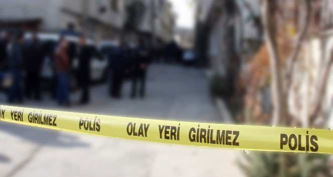 Otele pimi çekilmemiş el bombası atan zanlı vuruldu