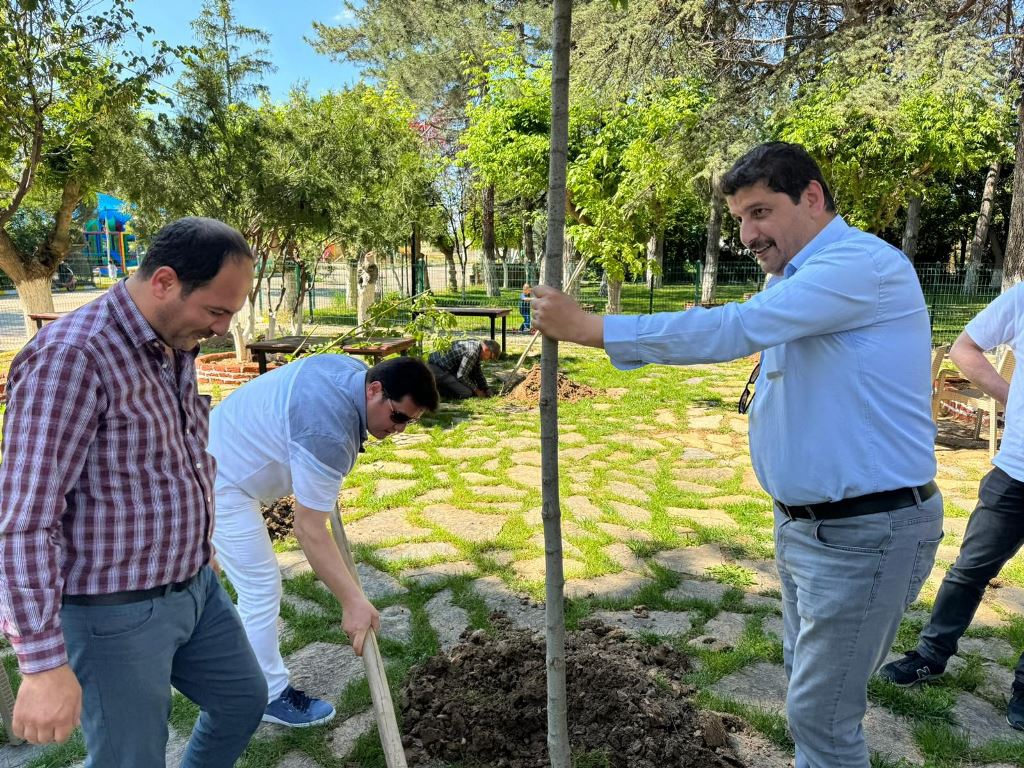 BOLVADİN HORAN PARKI'NDA AĞAÇ DİKME ETKİNLİĞİ YAPILDI