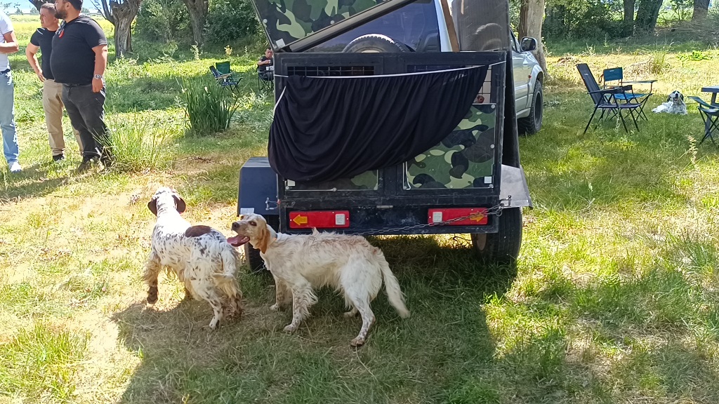 FERMALI AV KÖPEKLERİ MERA YARIŞMASI DÜZENLENDİ