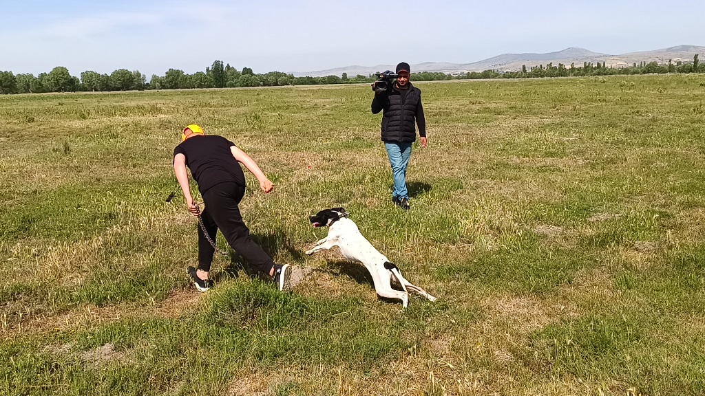 FERMALI AV KÖPEKLERİ MERA YARIŞMASI DÜZENLENDİ