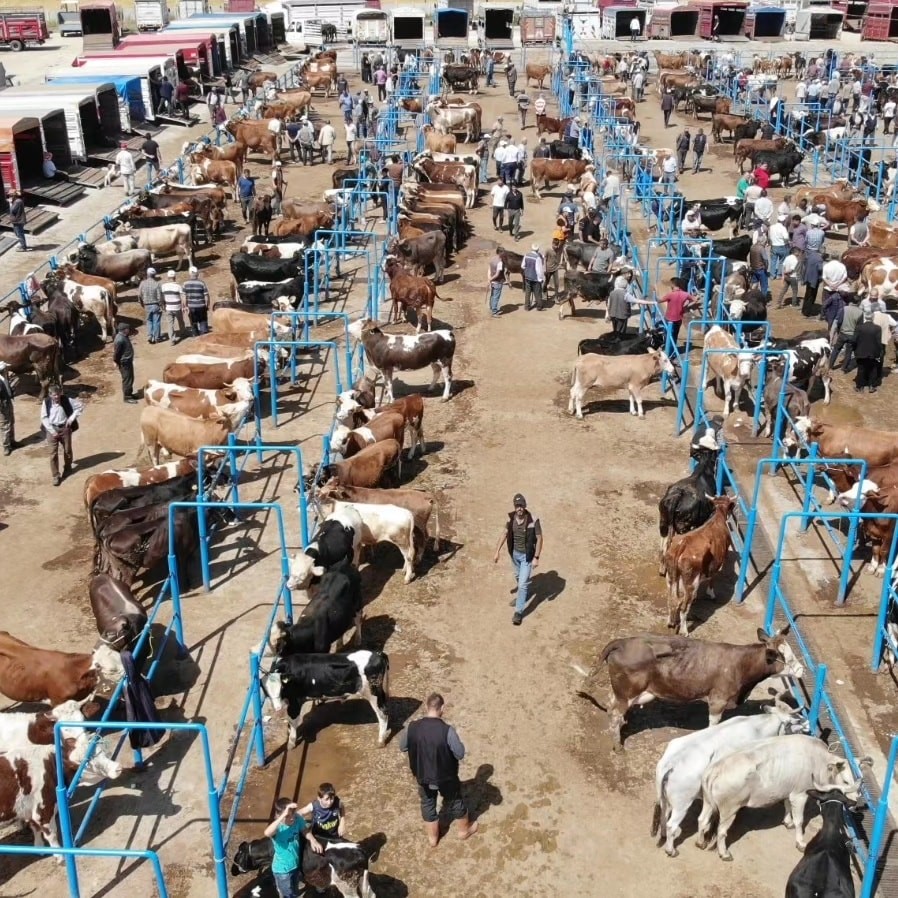 Kurbanlık Denetimleri Devam Ediyor