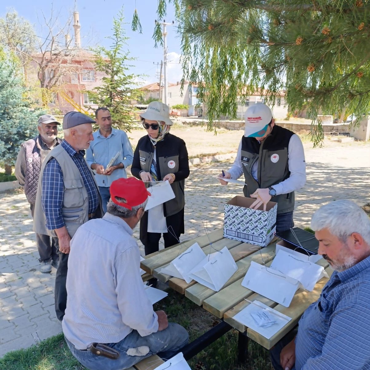 Yetkililer Domates Güvesine Karşı Uyarıyor