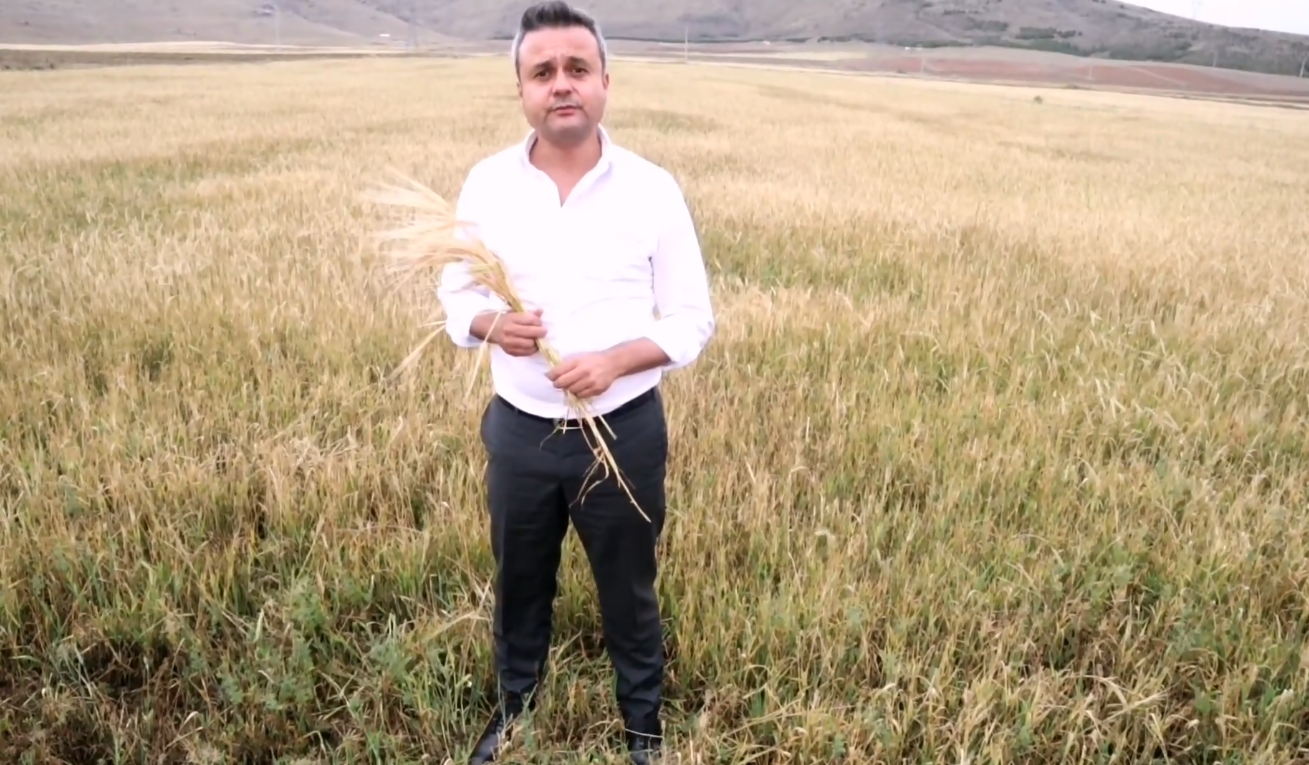 Hububat Fiyatlarına Tepki CHP'li Erhan'dan Geldi