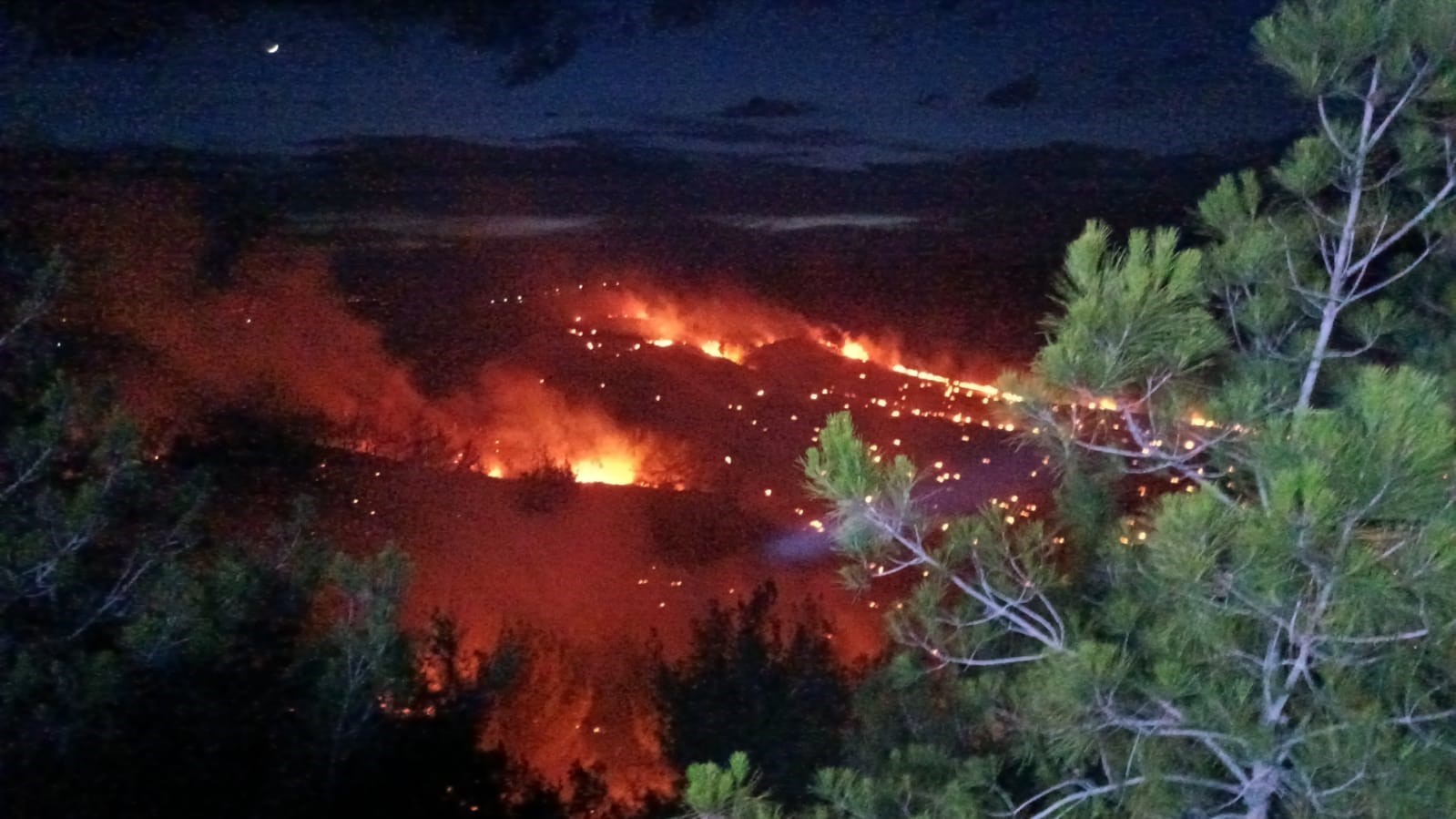 ADANA’DA ORMAN YANGINI