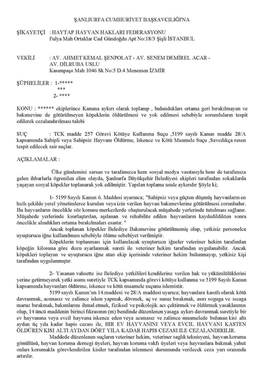 Şanlıurfa’daki Köpek Katliamına Tepki Dr. Sevilay Mara’dan Geldi
