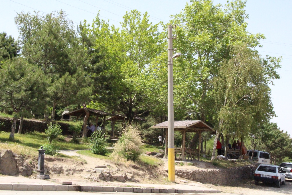 CİĞERLERİMİZ YANMASIN