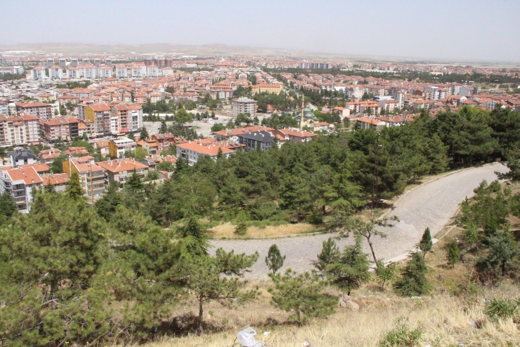 CİĞERLERİMİZ YANMASIN