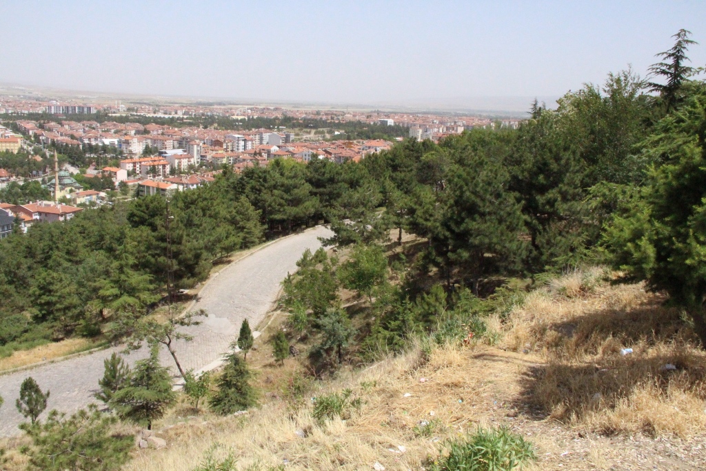 CİĞERLERİMİZ YANMASIN