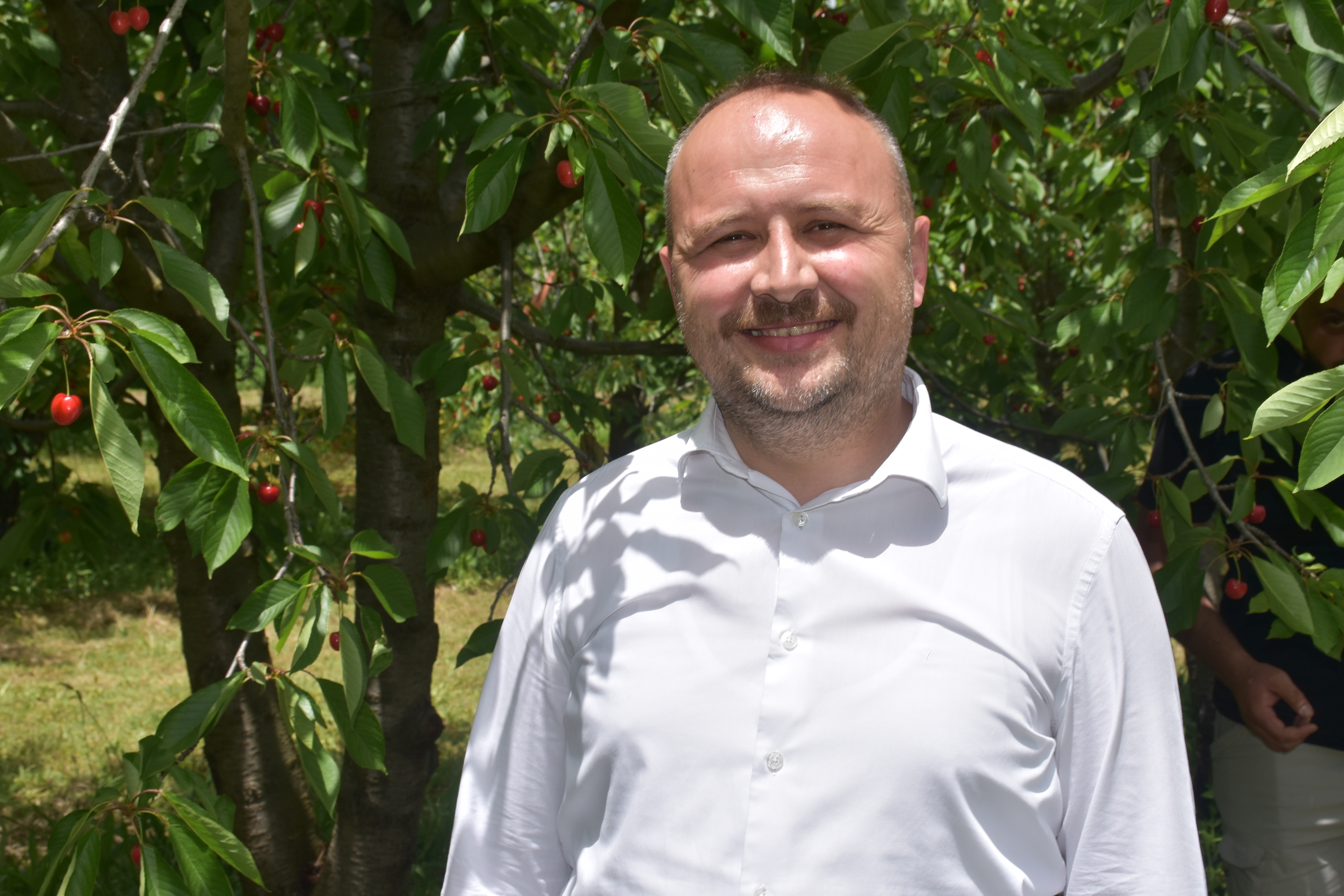 Vali Yiğitbaşı: "Burası Kiraz ve Vişnenin Merkezi"