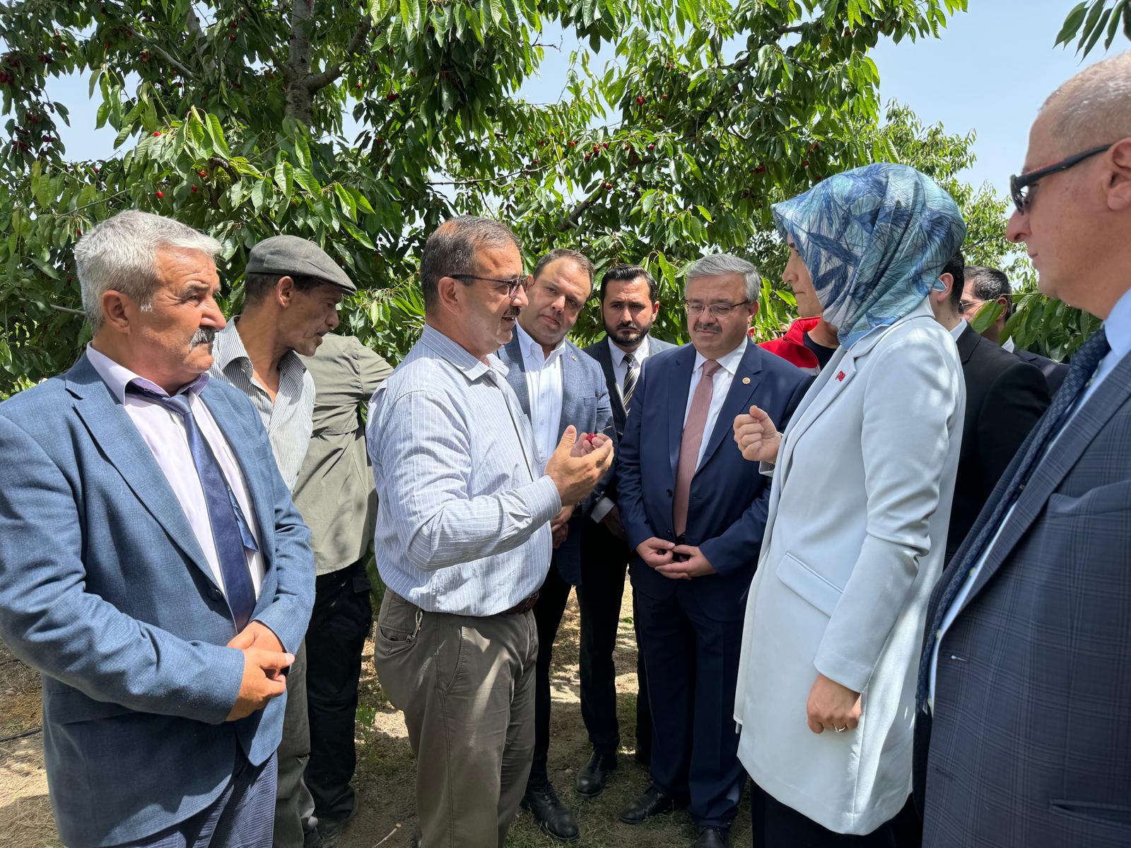 Vali Yiğitbaşı: "Burası Kiraz ve Vişnenin Merkezi"