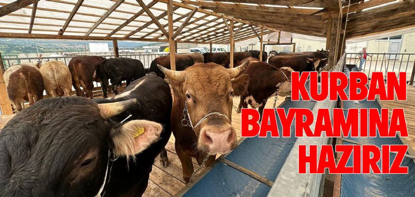 AFYON'DA KESİM YERLERİ BELLİ OLDU!