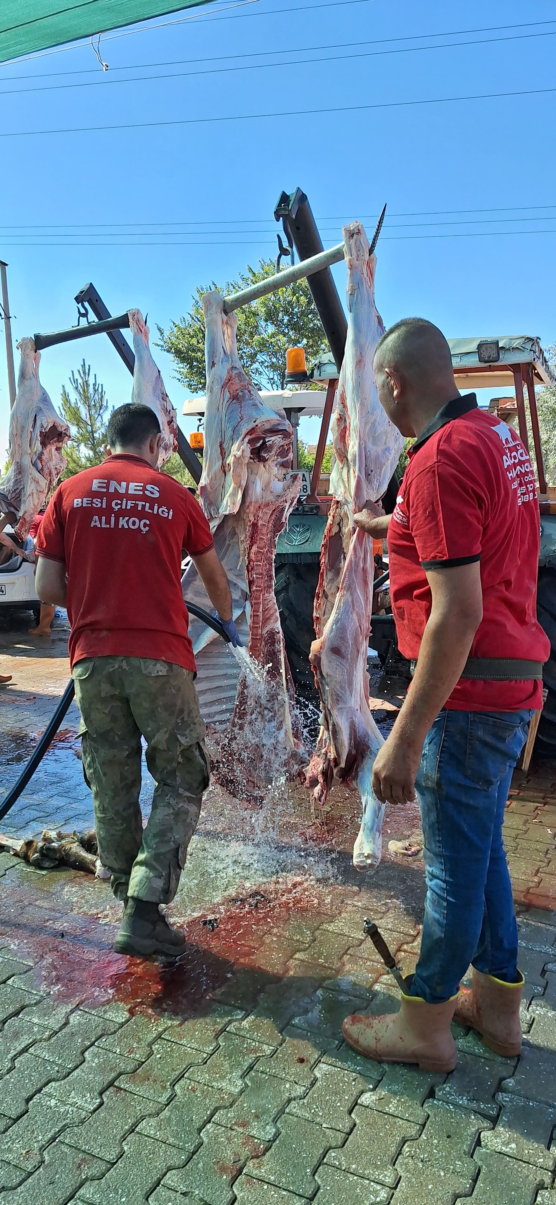 Afyonkarahisar'da kurbanlık kesimleri tüm hızıyla devam ediyor
