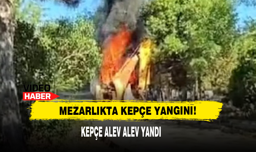 “Önce Ülkem Ve Milletim”