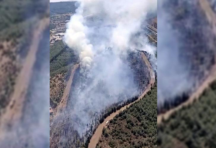 İzmir'de Yeni Orman Yangını: Havadan ve karadan müdahale başladı