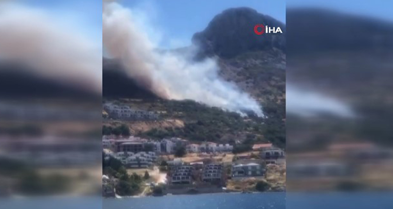 İzmir'de Yeni Orman Yangını: Havadan ve karadan müdahale başladı