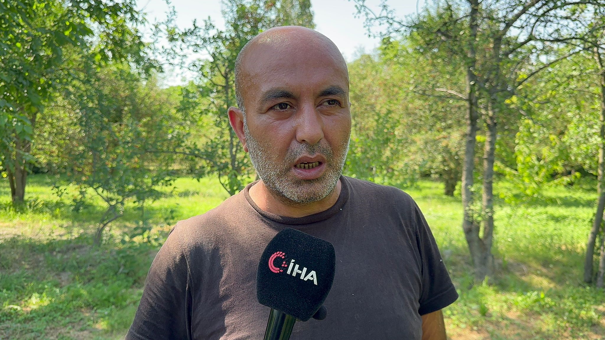 Afyonkarahisar'da bu yıl kirazda istenilen rekolte yakalanamadı
