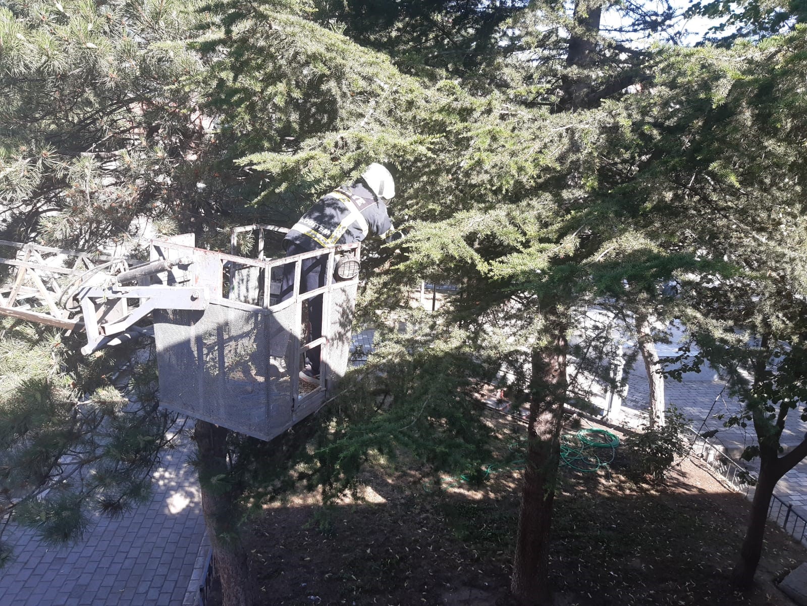 Yavru Kedi İçin Seferber Oldular: Vatandaş operasyonda başarısız olunca devreye itfaiye girdi