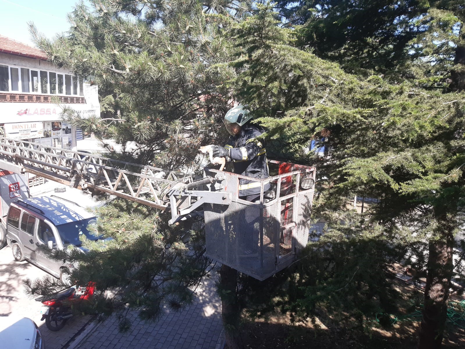 Yavru Kedi İçin Seferber Oldular: Vatandaş operasyonda başarısız olunca devreye itfaiye girdi