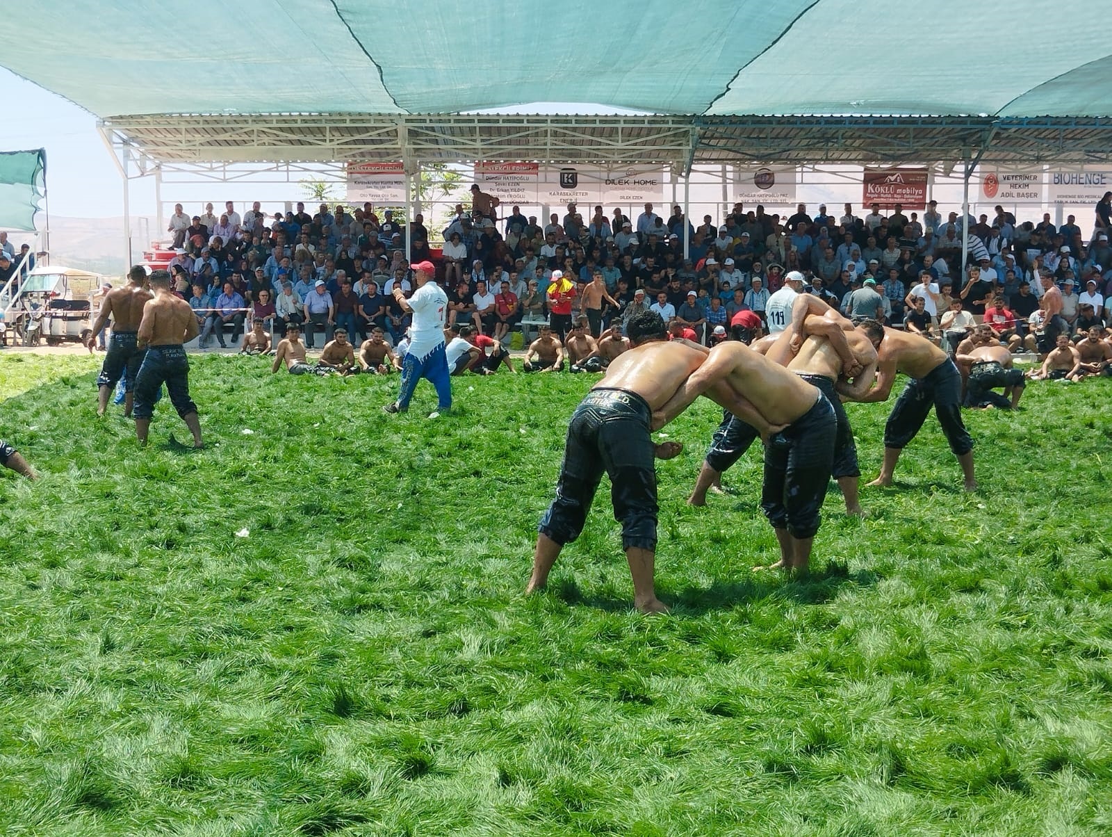 Karaadilli’de Asırlık Güreşler Yeniden Başladı