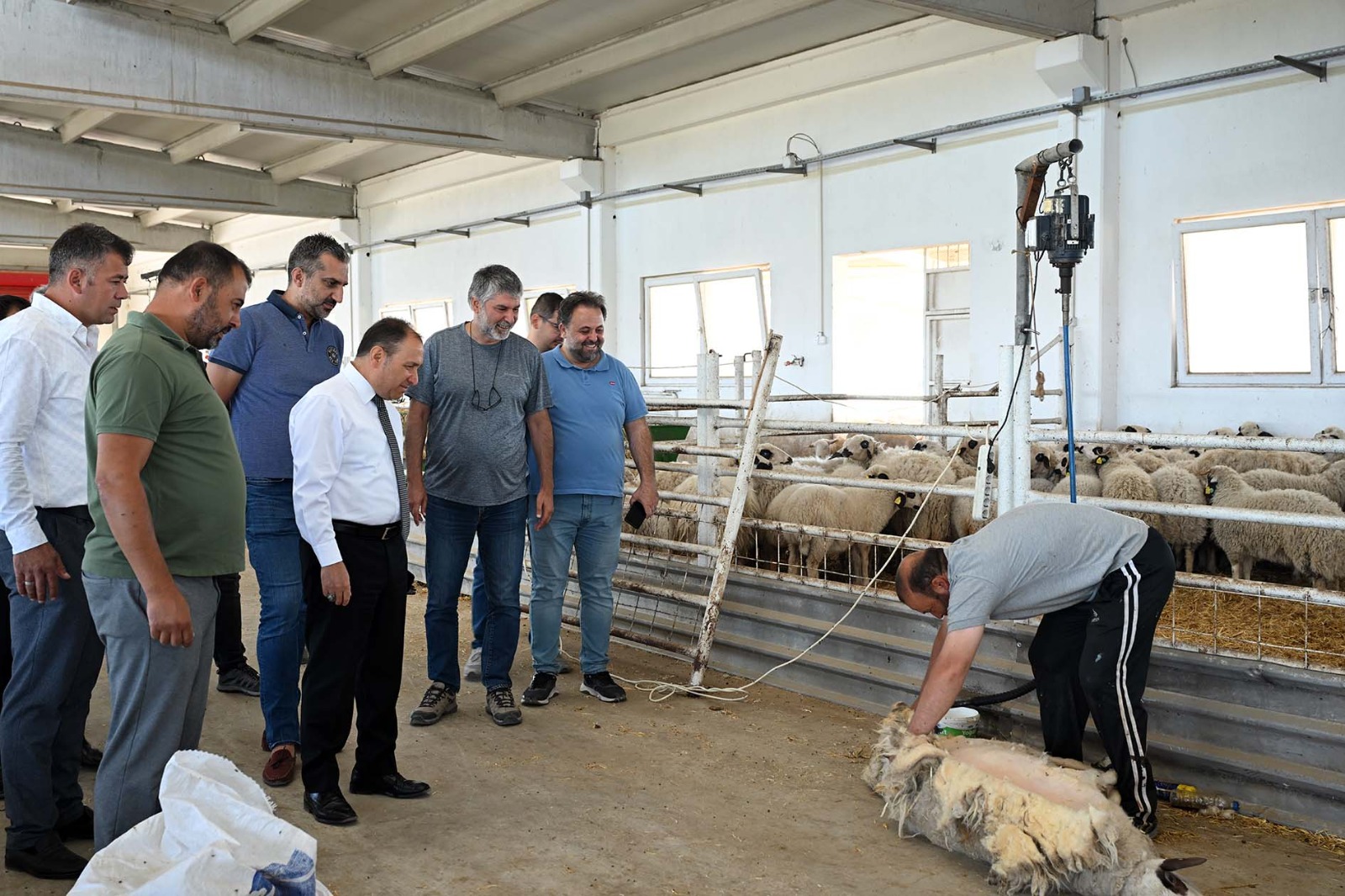 REKTÖR KARAKAŞ  KOCATEPE ÜNİVERSİTESİNİN UYGULAMA ÇİFTLİĞİNDE İNCELEMELERDE BULUNDU