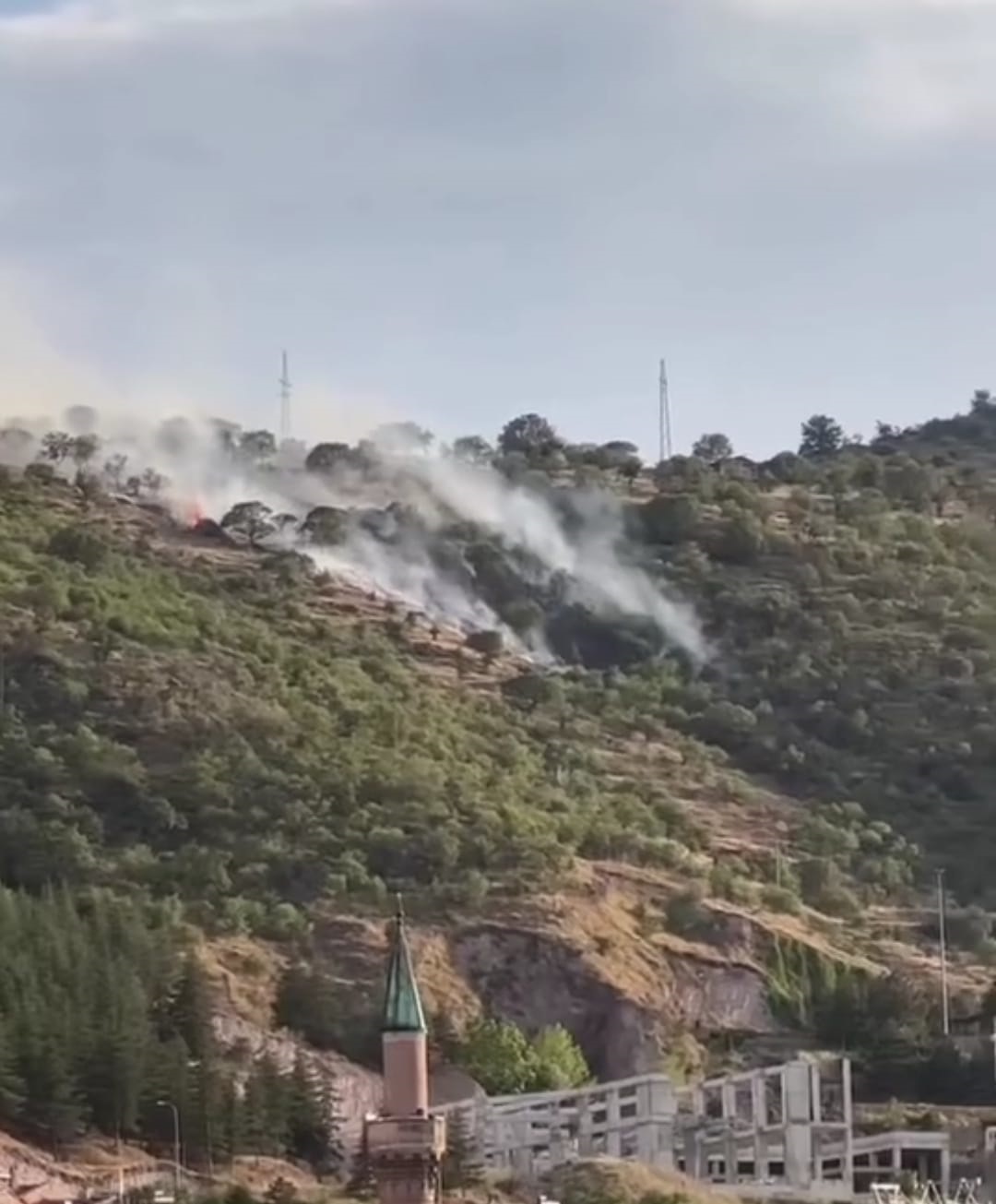 Afyonkarahisar’da ormanlık alanda yangın: Ekiplerin müdahalesi sürüyor