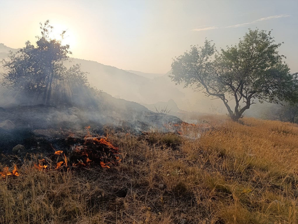 AFYON HIDIRLIKTA ÇIKAN YANGIN 1 SAAT SONRA SÖNDÜRÜLDÜ