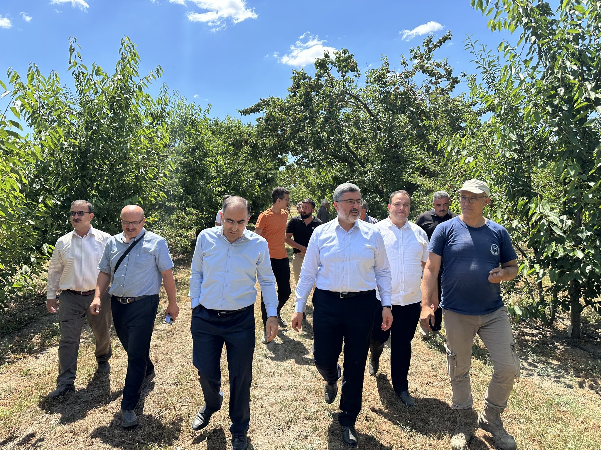 AK Parti Milletvekillerinden Kiraz Hasadı Paylaşımı