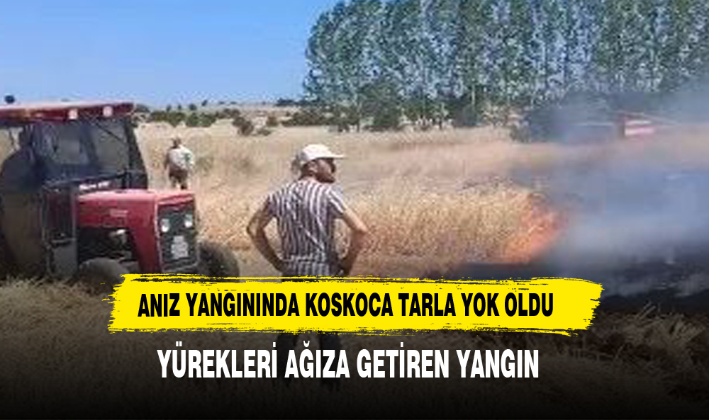 Tavşanlı'nın Kuruçay Beldesindeki Buğday Tarlasındaki Yangın Korkuttu
