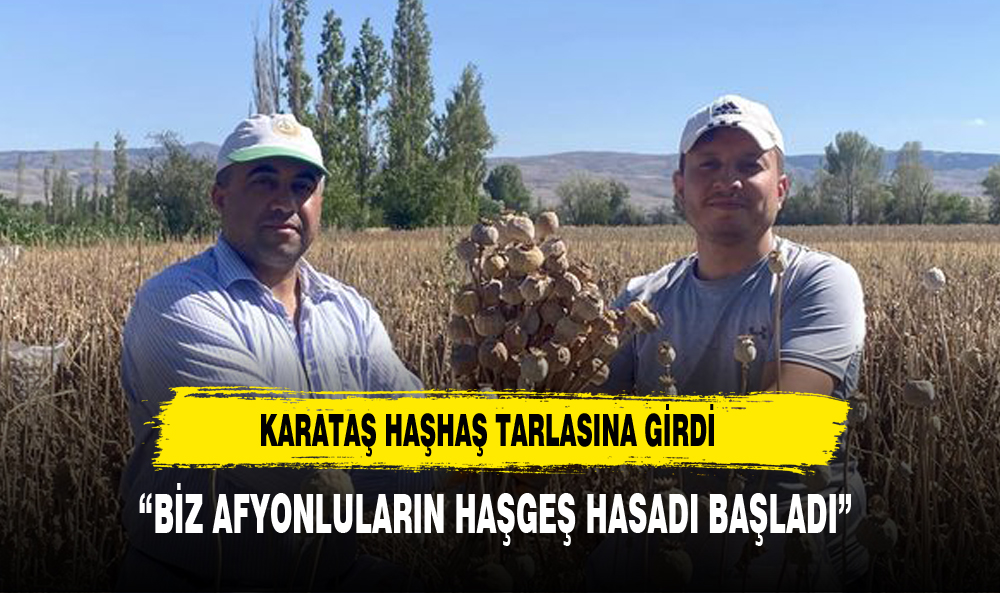 Saadet Partili Karataş’ın   Haşhaş Hasadı Heyecanı