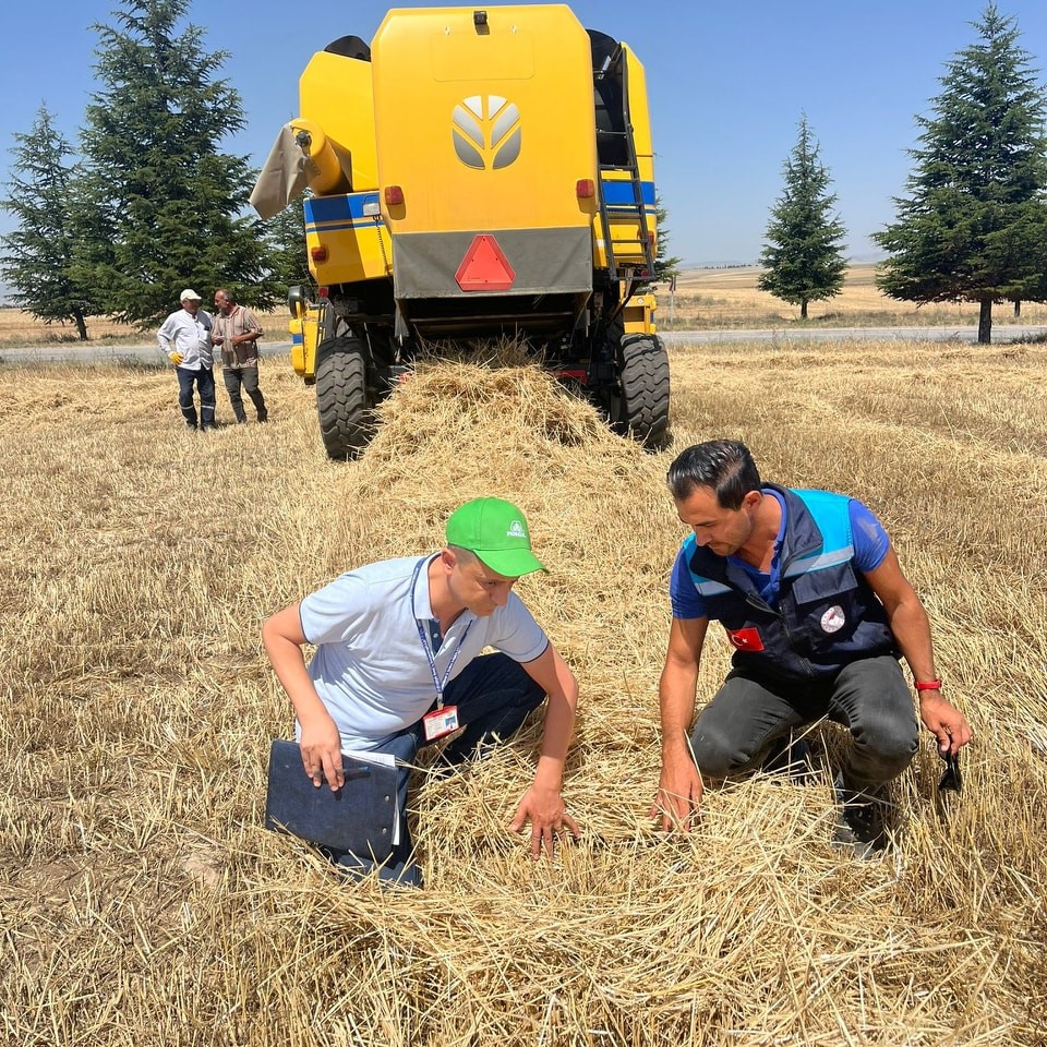 AFYON HASAT MEVSİMİNE  HAZIRLANIYOR