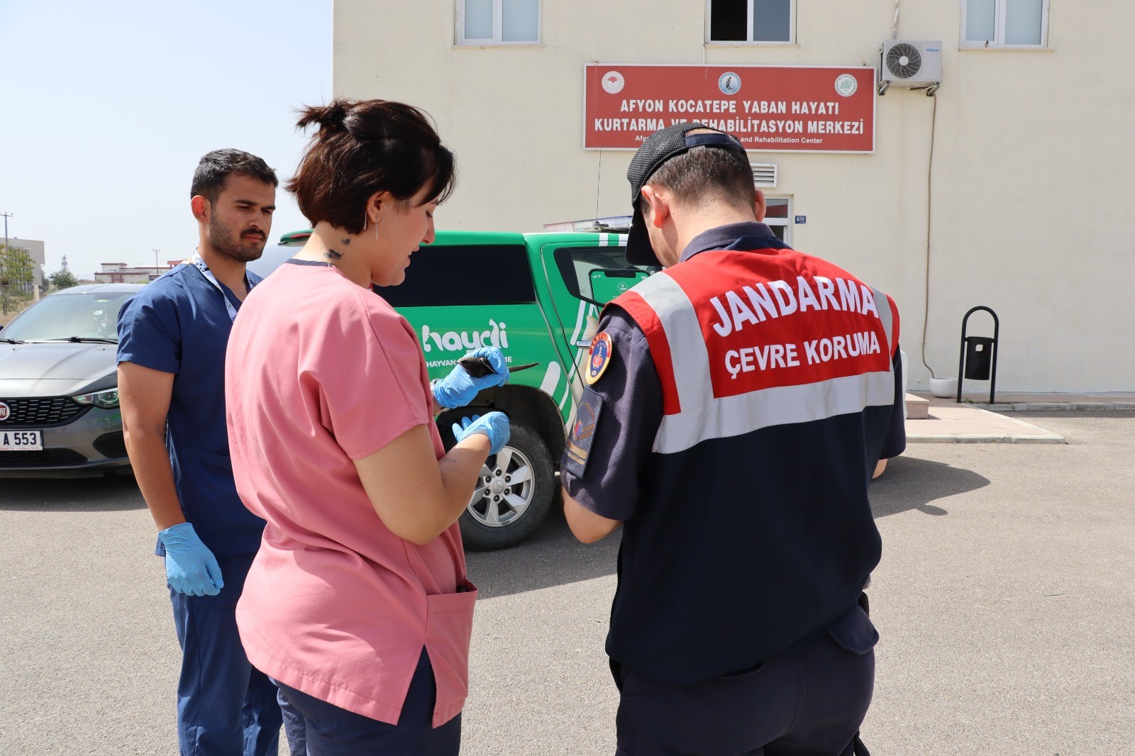 Yaralı ‘Ebabil’ Koruma Altına Alındı