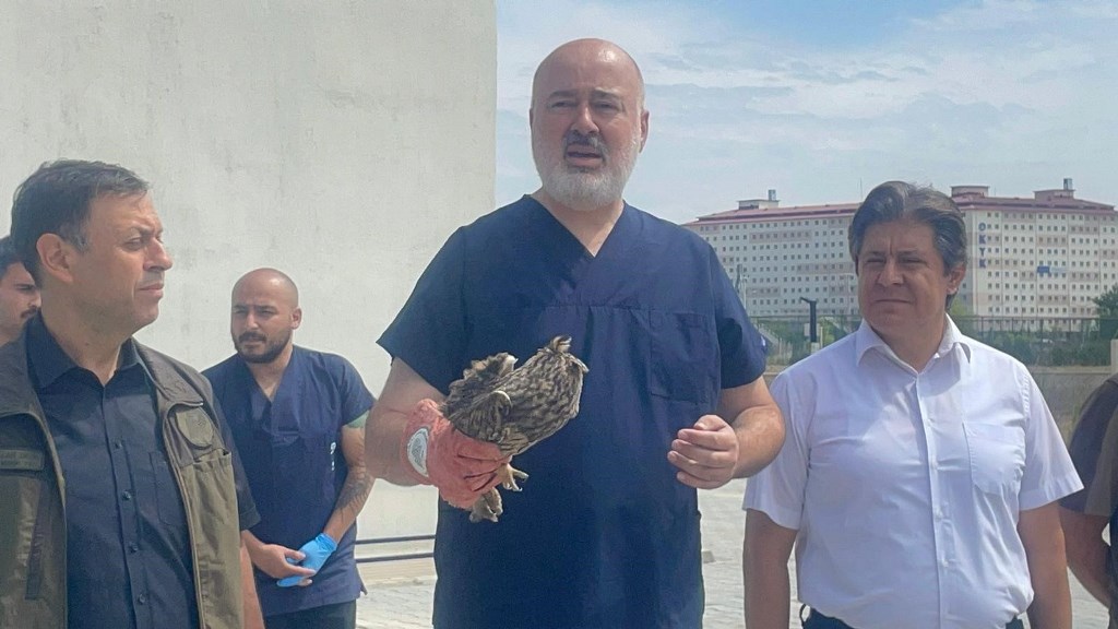 AFYON'DA TEDAVİLERİ TAMAMLANAN KUŞLAR DOĞAYA SALINDI