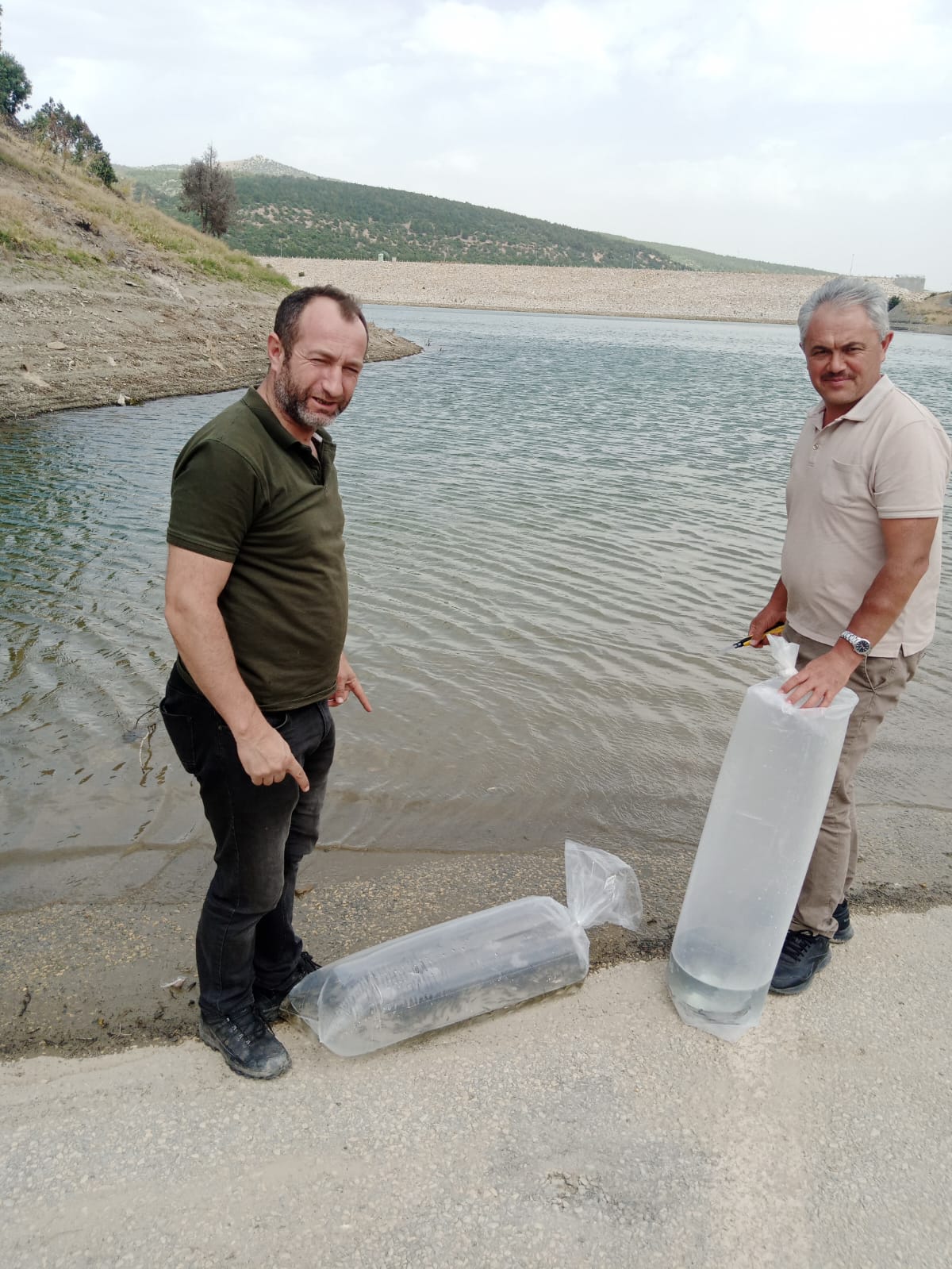 Su Kaynaklarında Balıklandırma Çalışmaları Devam Ediyor
