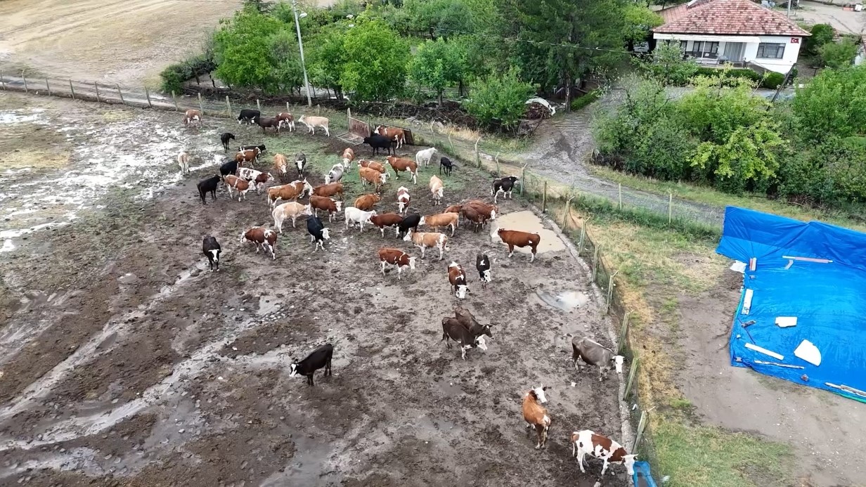Felaketin Açtığı Yıkım Çiftçiyi Bile Şaşırttı:  Dere taştı, ekili tarım arazileri zarar gördü
